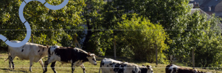 Afeterres en Seine normande