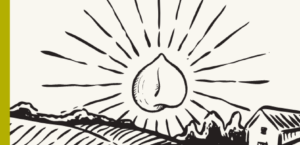 Pulse fiction – Pour une transition agricole et alimentaire durable