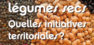 Cette étude qui réhabilite les légumes secs, pourtant boudés par les français.