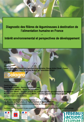 Diagnostic des filières de légumineuses à destination de l’alimentation humaine en France