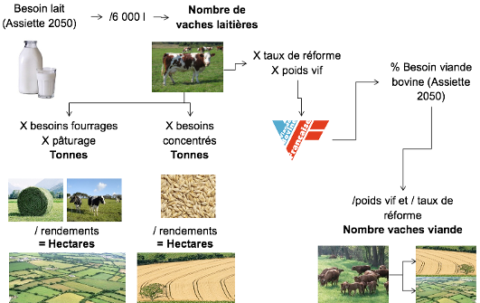 Besoins de lait et surfaces nécessaires Afterres2050