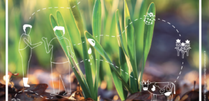 La concrétisation d’Afterres2050 dans les exploitations agricoles