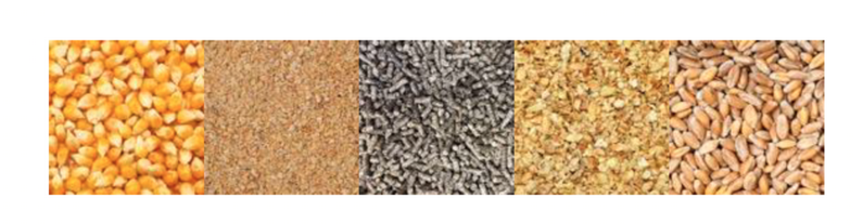 Céréales importations