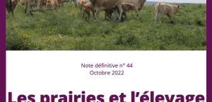 Les prairies et l’élevage des ruminants au coeur de la transition agricole et alimentaire