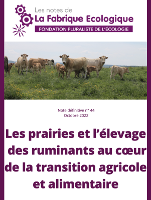 Prairies et élevage