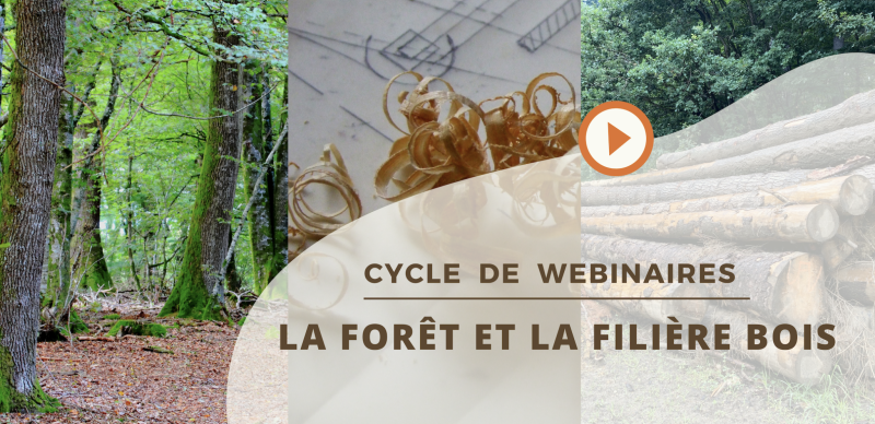 Cycle webinaire forêt & filière bois ©Florin Malafosse