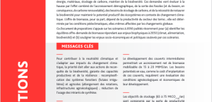 Biomasse et neutralité climat en 2050 : gérer la rareté pour maintenir des écosystèmes productifs et résilients