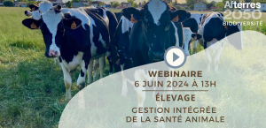 Gestion intégrée de la santé animale : du concept à la mise en pratique