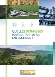 Première page du rapport de synthèse "Quelles biomasses pour la transition énergétique"
