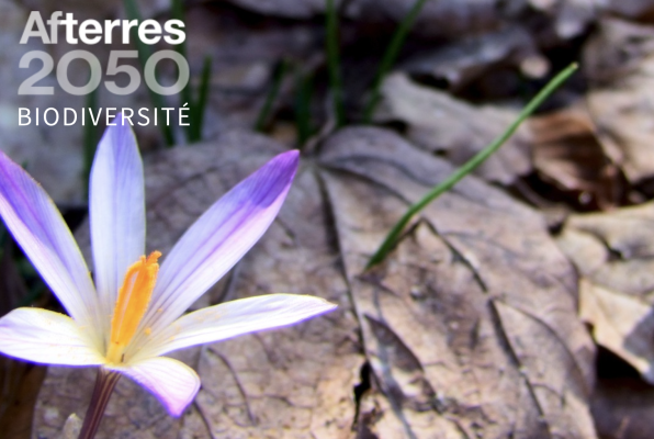 Forêt et biodiversité Afterres