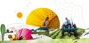 Université Afterres 2025