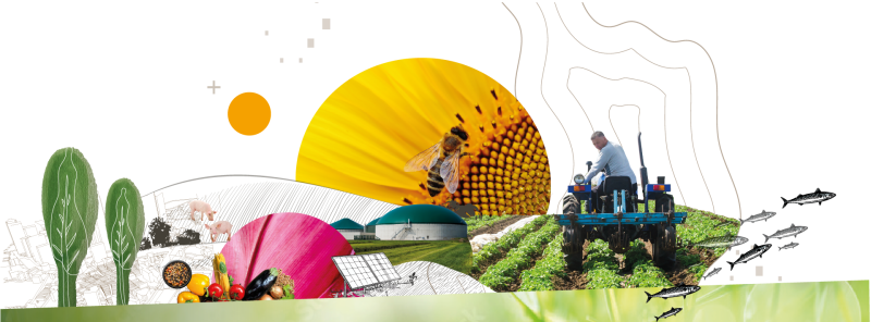 Université Afterres 2025