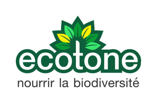 Ecotone